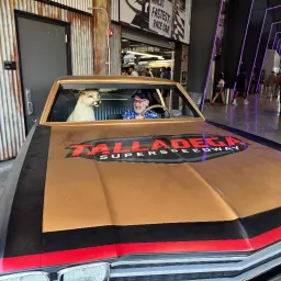 Commenter la photo 1