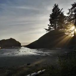 Commenter la photo 2