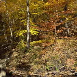 Commenter la photo 3