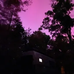 Commenter la photo 7