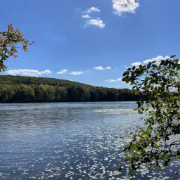 Commenter la photo 6