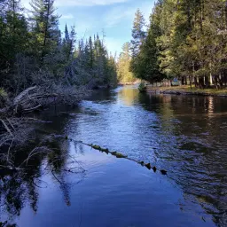 Commenter la photo 3