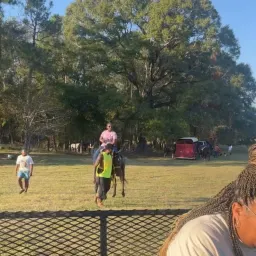 Commenter la photo 1