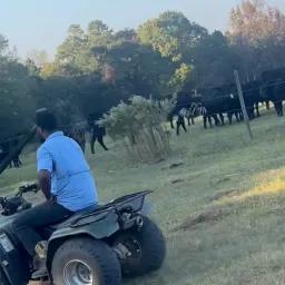 Commenter la photo 3