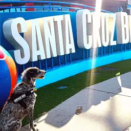 Commenter la photo 5