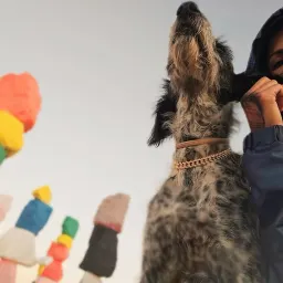 Commenter la photo 4