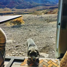 Commenter la photo 3