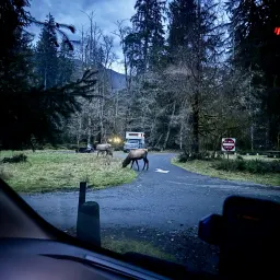 Commenter la photo 2