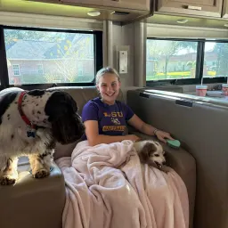 Commenter la photo 1