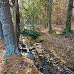 Recensisci la foto 2