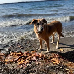 Commenter la photo 1