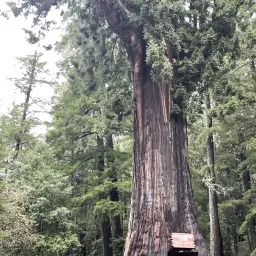 Commenter la photo 3