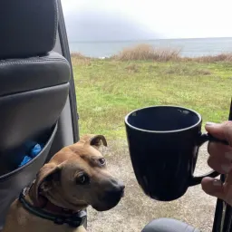 Commenter la photo 4