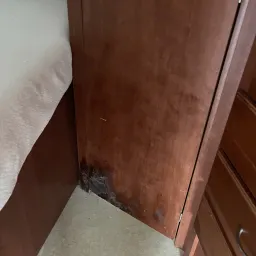 Commenter la photo 5