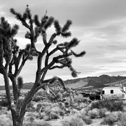 Commenter la photo 5