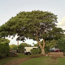 Commenter la photo 4