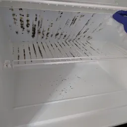 Commenter la photo 3