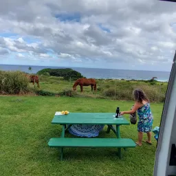 Commenter la photo 1