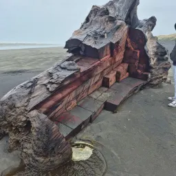 Recensisci la foto 3