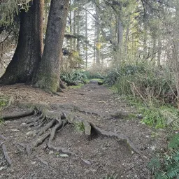 Recensisci la foto 36