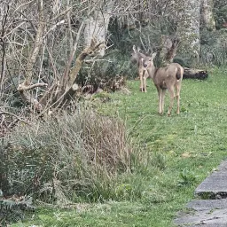 Recensisci la foto 17