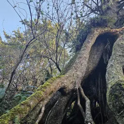 Recensisci la foto 38