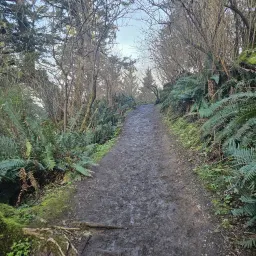 Recensisci la foto 37