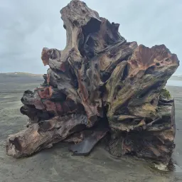 Recensisci la foto 2