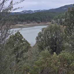 Commenter la photo 2