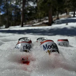 Commenter la photo 5