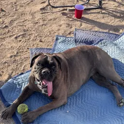 Foto de la valoración 3