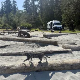 Commenter la photo 1