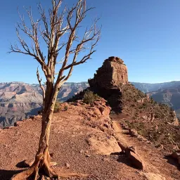 Commenter la photo 2