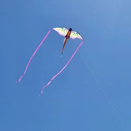 Commenter la photo 5