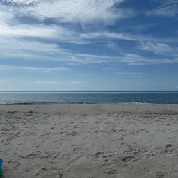 Commenter la photo 3