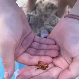 Commenter la photo 5