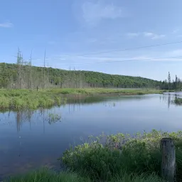 Commenter la photo 1