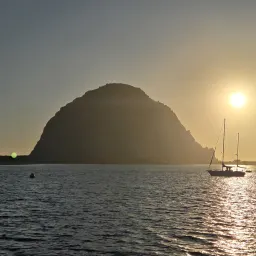 Commenter la photo 2