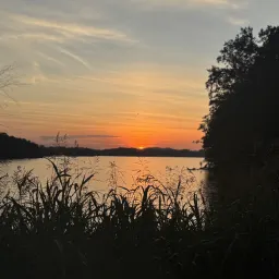 Commenter la photo 2