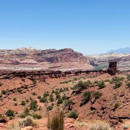 Commenter la photo 1