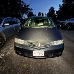 Commenter la photo 1