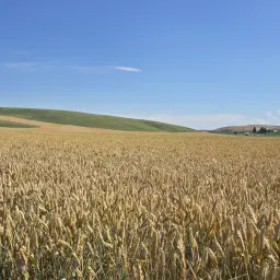 Commenter la photo 2