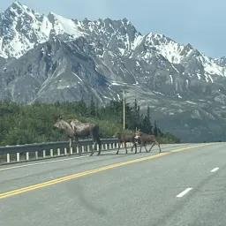 Commenter la photo 3