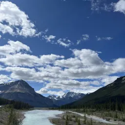 Commenter la photo 5