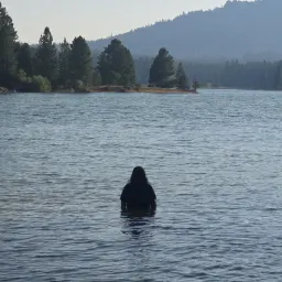 Commenter la photo 2