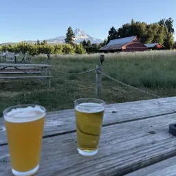 Commenter la photo 8