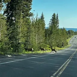 Commenter la photo 3