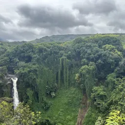 Commenter la photo 1