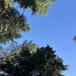 Commenter la photo 2