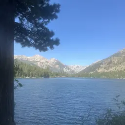 Commenter la photo 1